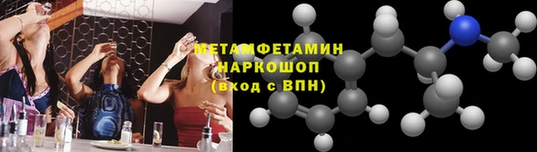 прущие грибы Покров
