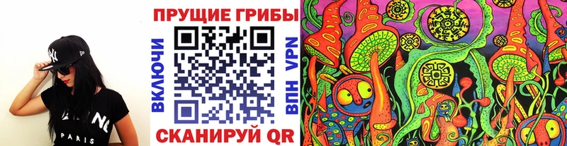 blacksprut tor  Ковдор  Псилоцибиновые грибы MAGIC MUSHROOMS 